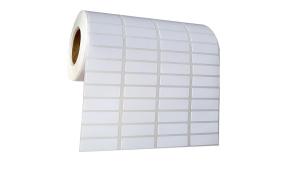 Explore the Versatility of our Self Adhesive Label